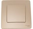 Выключатель 1-клавишный Systeme Electric (Schneider Electric) Blanca внутренний Титан, 10А, 250B SE BLNVS010104 10 шт 13606481195255 2