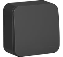 Выключатель 1-клавишный Systeme Electric (Schneider Electric) Blanca наружный Антрацит, 10А, 250B SE BLNVA101016 15 шт 13606481197051