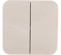 Выключатель 2-клавишный Systeme Electric (Schneider Electric) ОП Blanca 10А IP20 сх. 5 250В бежевый BLNVA105017 15 шт 13606489776173