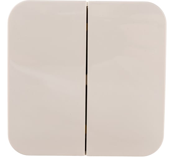 Выключатель 2-клавишный Systeme Electric (Schneider Electric) ОП Blanca 10А IP20 сх. 5 250В бежевый BLNVA105017 15 шт 13606489776173 1