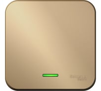 Выключатель 1-клавишный с подсветкой Systeme Electric (Schneider Electric) Blanca наружный, Титан, 10А SE BLNVA101114 15 шт 13606481332575