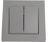 Выключатель 2-клавишный Systeme Electric (Schneider Electric) AtlasDesign Сталь, сх.5, 10АХ, в сборе SE ATN000952 5 шт 13606489703131 1