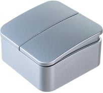 Выключатель 2-клавишный Systeme Electric (Schneider Electric) ОП Blanca 10А IP20 сх. 5 250В алюминий BLNVA105013 15 шт 13606481196818