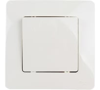 Выключатель 1-клавишный Systeme Electric (Schneider Electric) СП Blanca 10А IP20 сх. 1 250В беж. BLNVS010107 10 шт 13606489775978