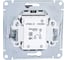 Выключатель 2-клавишный Systeme Electric (Schneider Electric) AtlasDesign Сталь, сх.5, 10АХ, механизм SE ATN000951 5 шт 13606489703124 4