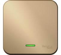 1-клавишный выключатель с подсветкой Systeme Electric (Schneider Electric) Blanca о/у, (cх.1), 10а, 250b, титан BLNVA101104 15 шт 13606481332544