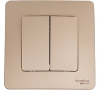 Выключатель 2-клавишный Systeme Electric (Schneider Electric) Blanca внутренний Титан, 10А, 250B SE BLNVS010504 10 шт 13606481195279