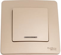 1-клавишный выключатель с подсветкой Systeme Electric (Schneider Electric) Blanca с/у, (cх.1), 10а, 250b, титан BLNVS010114 10 шт 13606481195262