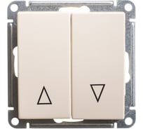 2-клавишный выключатель Systeme Electric (Schneider Electric) W59 с мех. блокировкой для жалюзи, 10ах, механизм, сл.кость VS410-253-2-86 10 шт 13606485438297
