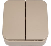 2-клавишный выключатель Systeme Electric (Schneider Electric) Blanca о/у, (cх.5), 10а, 250b, титан BLNVA105004 15 шт 13606481332582