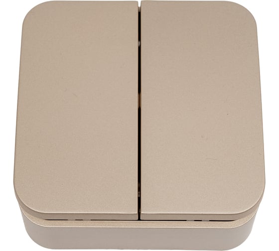 2-клавишный выключатель Systeme Electric (Schneider Electric) Blanca о/у, (cх.5), 10а, 250b, титан BLNVA105004 15 шт 13606481332582 1