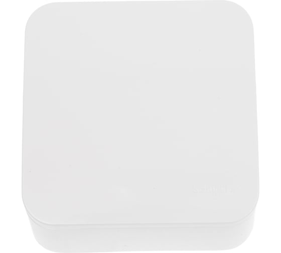 Выключатель 1-клавишный Systeme Electric (Schneider Electric) Blanca наружный Молочный, с самовозвратом SE BLNCA101012 15 шт 13606481196313 1