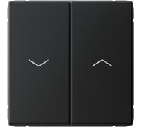 Выключатель 2-клавишный Systeme Electric ArtGallery Карбон, для жалюзи, 2х сх.4, 10А, механизм GAL001019 5 шт 4690201034193