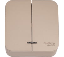 Выключатель 2-клавишный с подсветкой Systeme Electric (Schneider Electric) Blanca наружный Титан 10А,250B SE BLNVA105114 15 шт 13606481332612