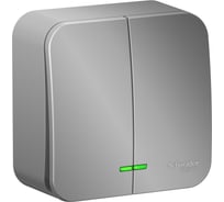 2-клавишный выключатель Systeme Electric (Schneider Electric) Blanca о/у, (cх.5) с подсв., 10а, 250b, алюминий BLNVA105103 15 шт 13606481197792