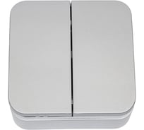 Выключатель 2-клавишный Systeme Electric (Schneider Electric) Blanca о/у без пласт. Алюминий, 10А BLNVA105003 15 шт 13606481197785