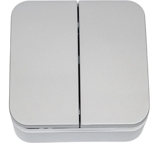 Выключатель 2-клавишный Systeme Electric (Schneider Electric) Blanca о/у без пласт. Алюминий, 10А BLNVA105003 15 шт 13606481197785 1