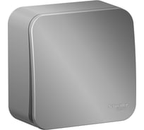 1-клавишный выключатель Systeme Electric (Schneider Electric) Blanca о/у, (cх.1) с самовозв.,изол.пл., 10а, алюминий BLNCA101013 15 шт 13606481196832