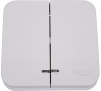 2-клавишный выключатель Systeme Electric (Schneider Electric) Blanca о/у, (cх.5) с подсв.мон.пл.,10а,250b,белый BLNVA105121 15 шт 13606481198072