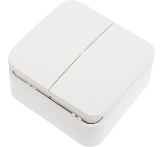 Выключатель 2-клавишный Systeme Electric (Schneider Electric) Blanca наружный Бел, 6А, 250В SE BLNVA065001 15 шт 13606481197334 1