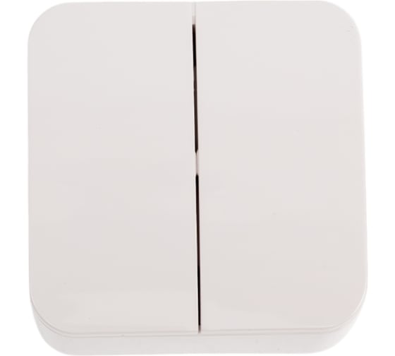 2-клавишный выключатель Systeme Electric (Schneider Electric) Blanca о/у, (cх.5) метал.пл.6а, 250b,белый BLNVA065021 15 шт 13606481198027 1