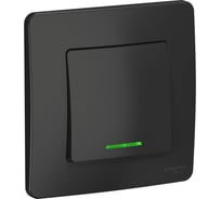 Выключатель 1-клавишный с подсветкой Systeme Electric (Schneider Electric) Blanca внутренний, Антрацит SE BLNVS010116 10 шт 13606481195491