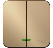 2-клавишный выключатель Systeme Electric (Schneider Electric) Blanca о/у, (cх.5) с подсв., 10а, 250b, титан BLNVA105104 15 шт 13606481332605