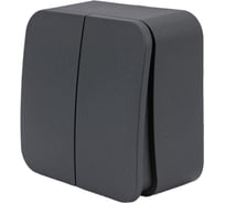 Выключатель 2-клавишный Systeme Electric (Schneider Electric) Blanca наружный Антрацит, 10А, 250B SE BLNVA105016 15 шт 13606481197075