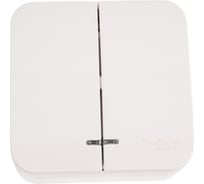 Выключатель 2-клавишный с подсветкой Systeme Electric Blanca о/у с монт. пласт. белый, 6а BLNVA065121 15 шт 13606481198034