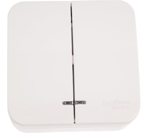 Выключатель 2-клавишный с подсветкой Systeme Electric Blanca о/у с монт. пласт. белый, 6а BLNVA065121 15 шт 13606481198034 1