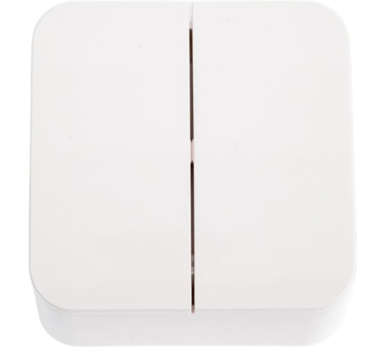 2-клавишный выключатель Systeme Electric (Schneider Electric) Blanca о/у, (cх.5), 6а, 250в, молочный BLNVA065002 15 шт 13606481197501 1