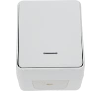 1-клавишный выключатель с подсветкой Systeme Electric Atlasdesign profi ip54 о/у, 10 ах, серый ATN543013 12 шт 4690201026624