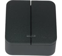 Выключатель 2-клавишный с подсветкой Systeme Electric (Schneider Electric) Blanca наружный Антрацит SE BLNVA105106 15 шт 13606481197914