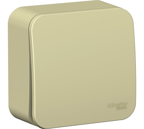 1-клавишный выключатель Systeme Electric (Schneider Electric) Blanca о/у, (cх.1) с самовозвр,изол.пл., 10а, бежевый BLNCA101017 15 шт 13606489776197 1