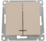 Выключатель 2-клавишный с подсветкой Systeme Electric Atlasdesign песочный, сх.5а, 10ах ATN001253 5 шт 13606485819775 5