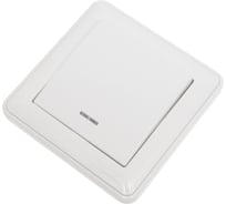 Выключатель 1-клавишный Systeme Electric Wessen 59 белый, с подсв. 10а, (в сборе с рамкой) VS110-153-18 10 шт 13606485437788
