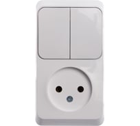 Блок Systeme Electric (Schneider Electric) ОП Этюд 1-м розетка без заземления + 2-клавишный выключатель белый BPA16-205B 12 шт 13606480981323