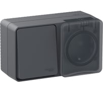 Блок Systeme Electric (Schneider Electric) AtlasDesign PROFI IP54 О/У розетка з/к со шт.16А 250B, выключатель 1-клавишный 10А ATN544070 6 шт 13606482044811