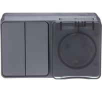 Блок Systeme Electric (Schneider Electric) AtlasDesign PROFI IP54 О/У розетка з/к со шт.16А 250B, выключатель 2-клавишный 10А ATN544074 6 шт 13606482044828