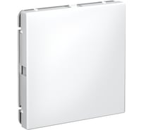 Заглушка без суппорта Systeme Electric ArtGallery белый для многопостовых рамок GAL000109 5 шт 4690201033516