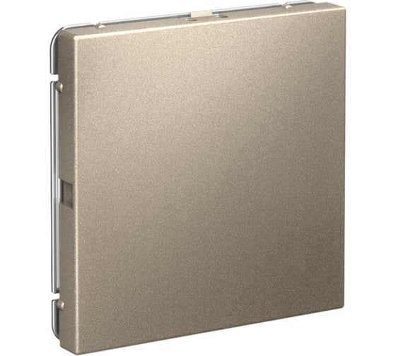 Заглушка без суппорта Systeme Electric ArtGallery Шампань для многопостовых рамок GAL000509 5 шт 4690201033653 1