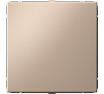 Заглушка без суппорта Systeme Electric ArtGallery Песочный для многопостовых рамок GAL001209 5 шт 4690201033776