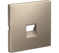 Накладка информационная Systeme Electric ArtGallery Шампань типа Keystone GAL000584 5 шт 4690201035428