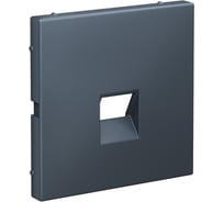 Накладка информационная Systeme Electric ArtGallery Грифель типа Keystone GAL000784 5 шт 4690201035466