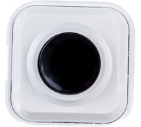Выключатель кнопочный Systeme Electric (Schneider Electric) 250В 0.4А для электрозвонков DIY A1-04-011-I 25 шт 13606480800044