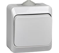 Выключатель с самовозвратом Systeme Electric (Schneider Electric) этюд ip44 о/у, 10 ах,серый, россия KA10-041C 14 шт 4690201011446