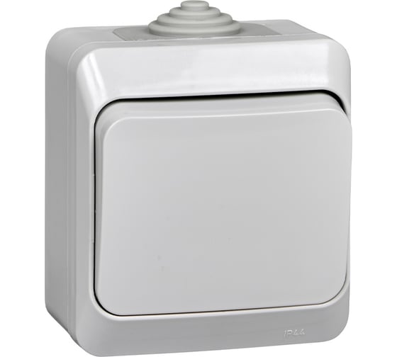 Выключатель с самовозвратом Systeme Electric (Schneider Electric) этюд ip44 о/у, 10 ах,серый, россия KA10-041C 14 шт 4690201011446 1