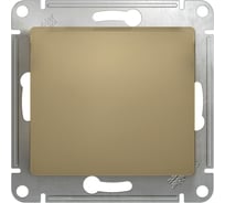 Кнопка нажимная Systeme Electric (Schneider Electric) Glossa, сх.1, 10ах, механизм, титан GSL000415 20 шт 13606480658898