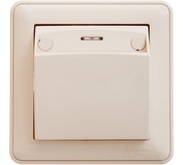Выключатель карточный Systeme Electric Wessen 59 сл. Кость, 16а (в сборе с рамкой) VS616-051-28 10 шт 4690201008859