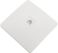 Розетка телефонная Systeme Electric (Schneider Electric) BLANCA С/У RJ11, белый BLNIS011001 10 шт 13606481194647